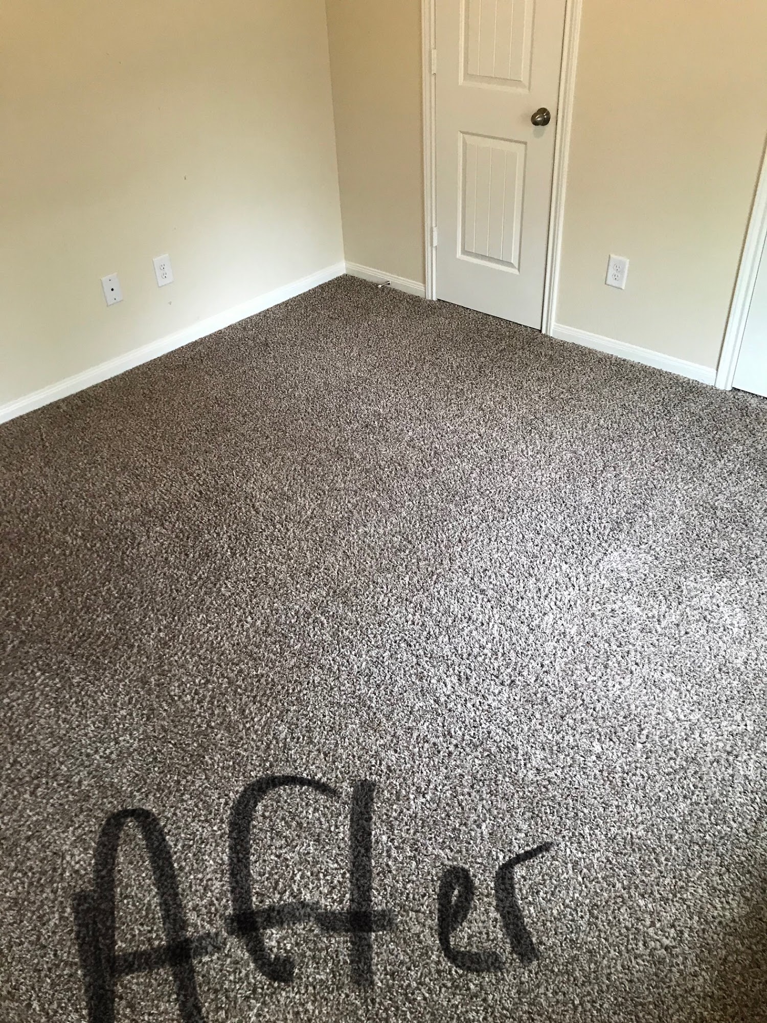 Tex A Clean Carpet Care LLC League City