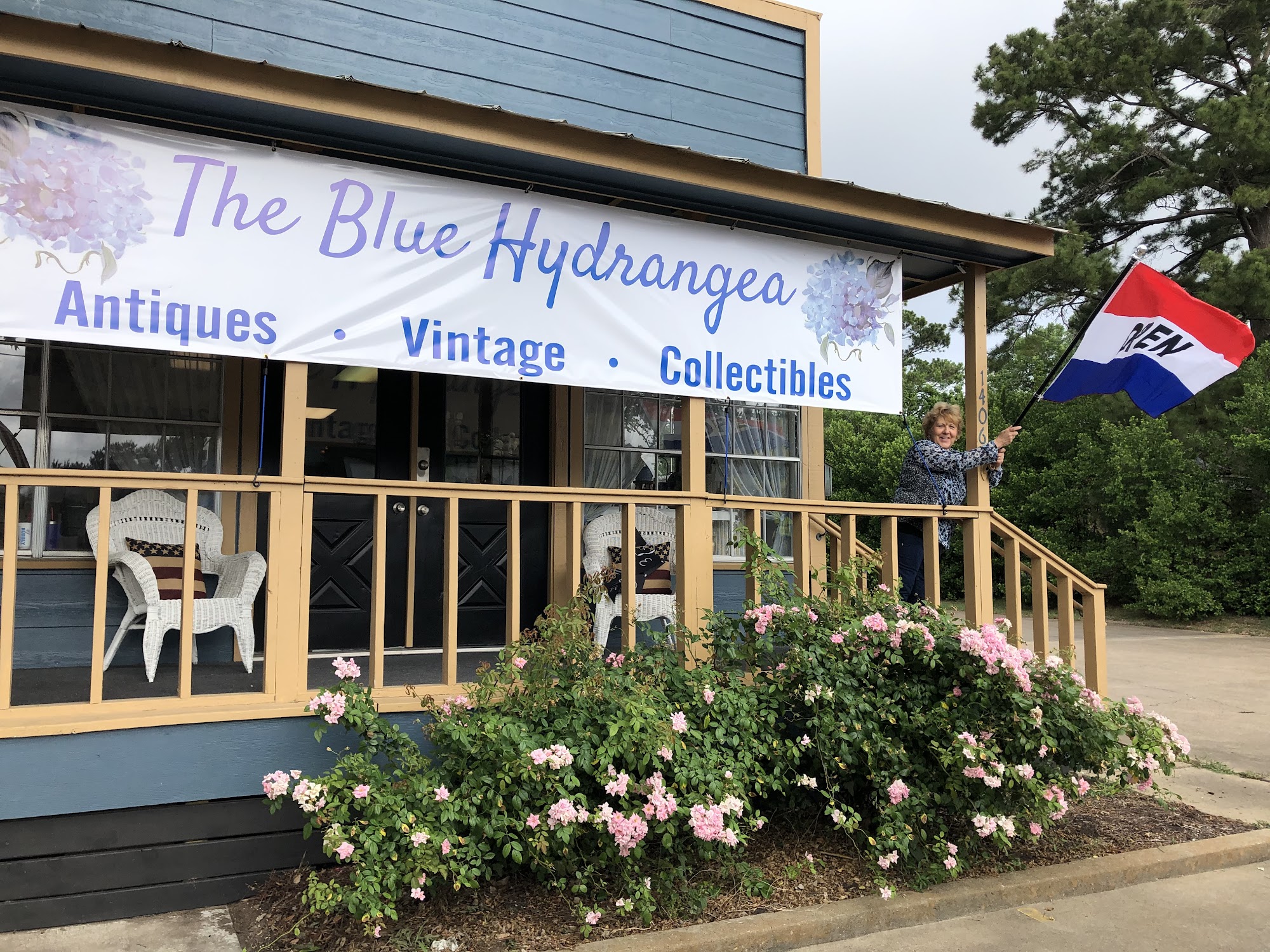 The Blue Hydrangea