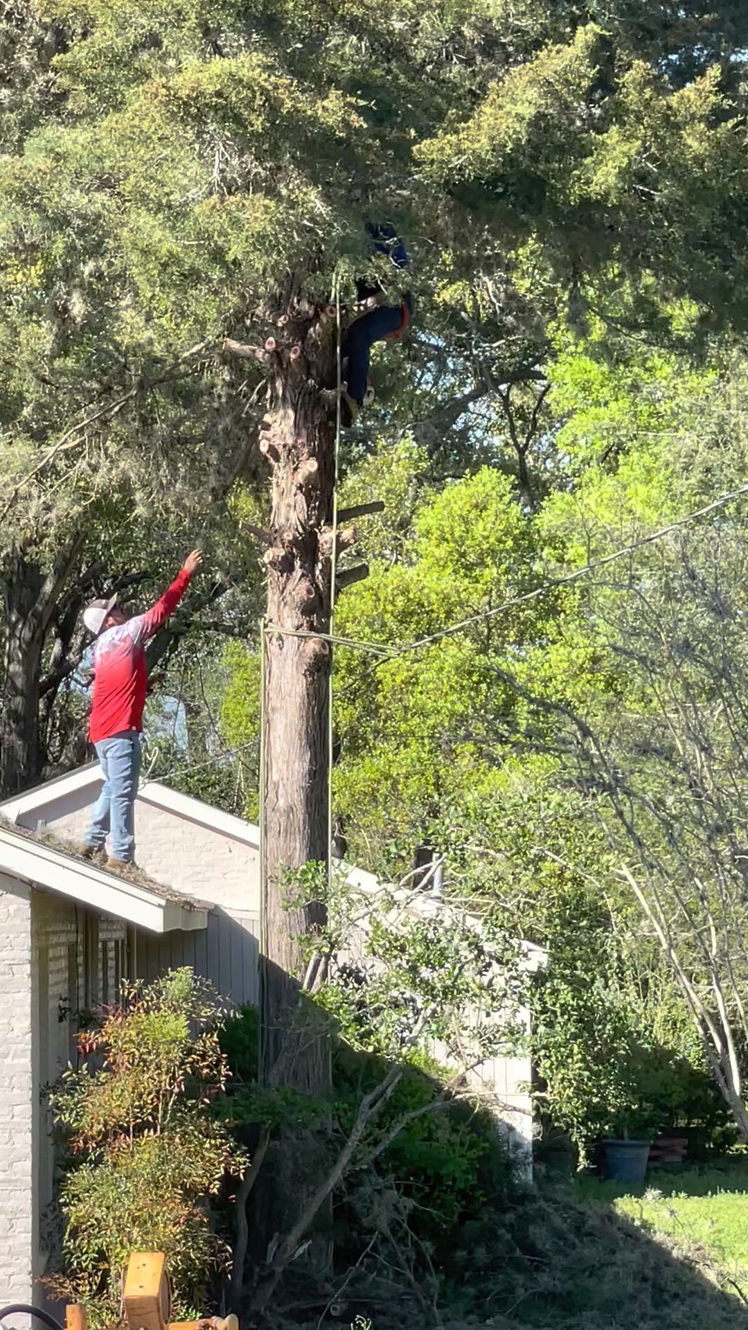 Adams Tree Service 2424 FM359, Brookshire Texas 77423