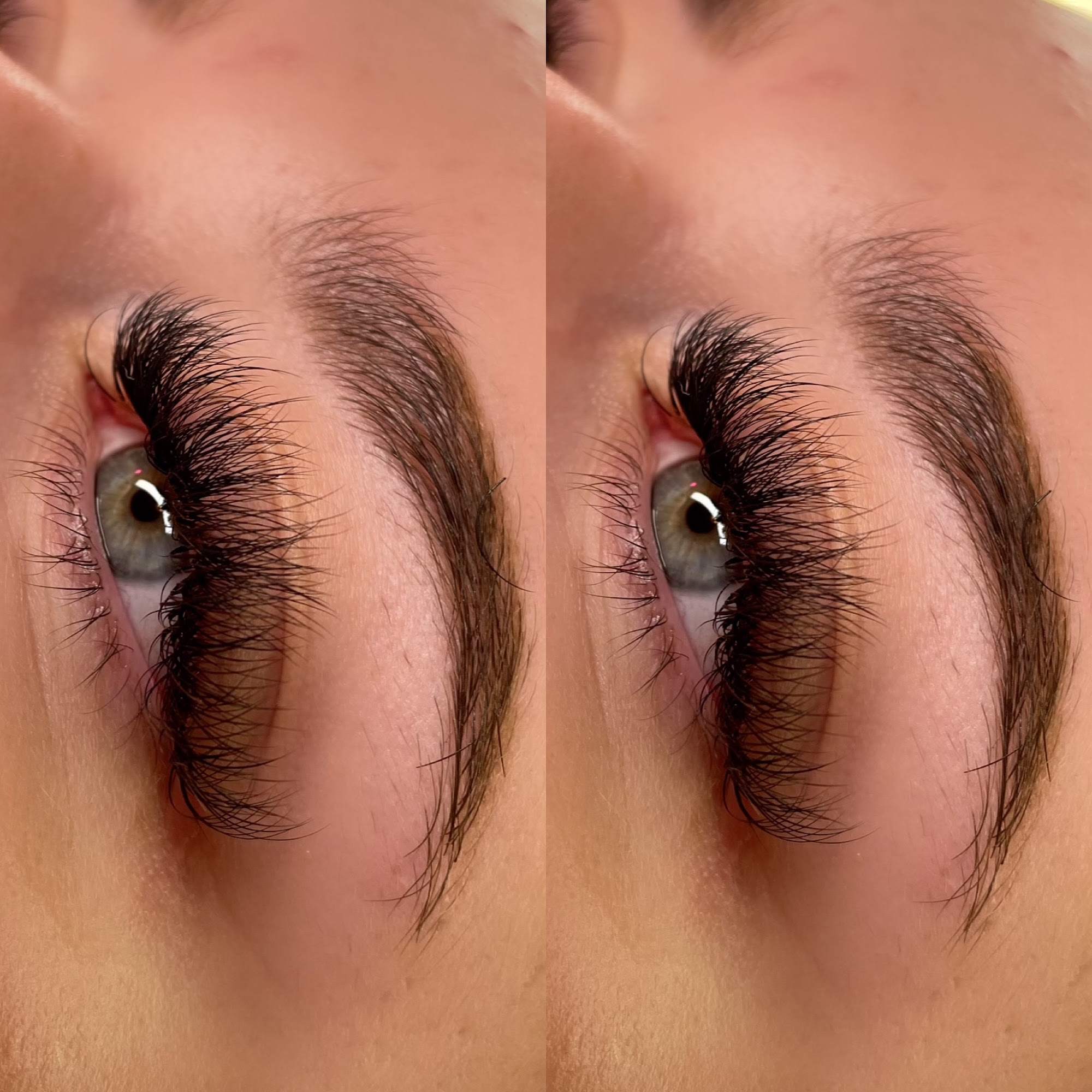 Essence Lash and Co.