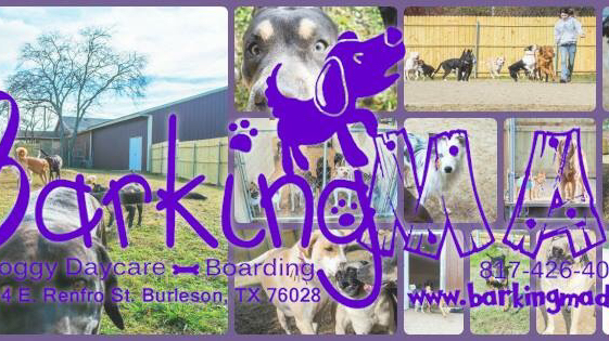 Barking Mad Doggy Daycare & Boarding, LLC