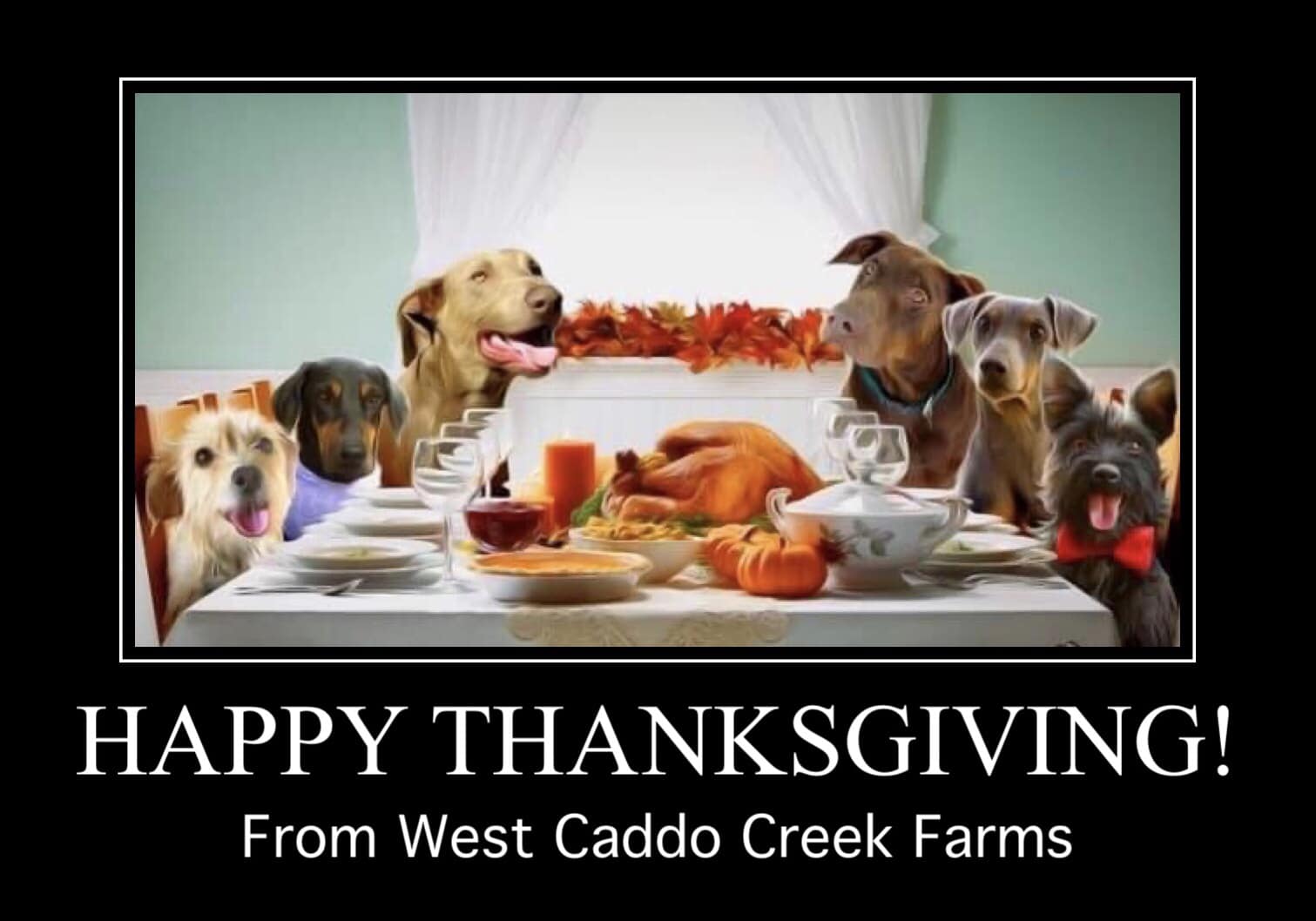 West Caddo Creek Farms, LLC 1289 County Rd 2739, Caddo Mills Texas 75135