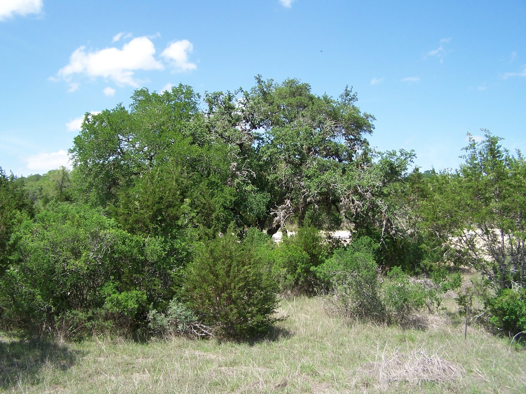 Hill Country Land and Homes Realty