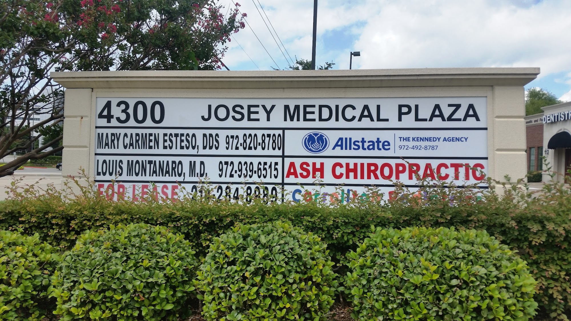 Ash Chiropractic & Acupuncture
