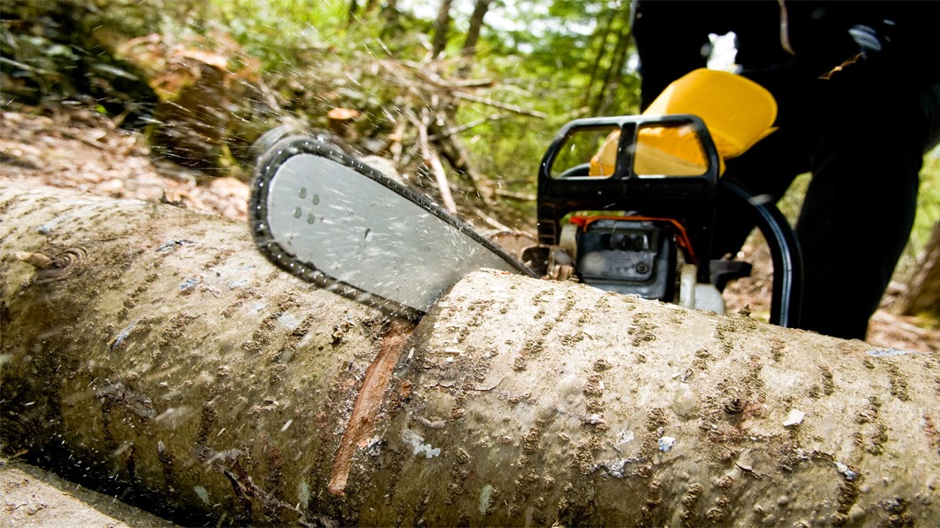 Brazos Valley Stump Grinding and Tree Service