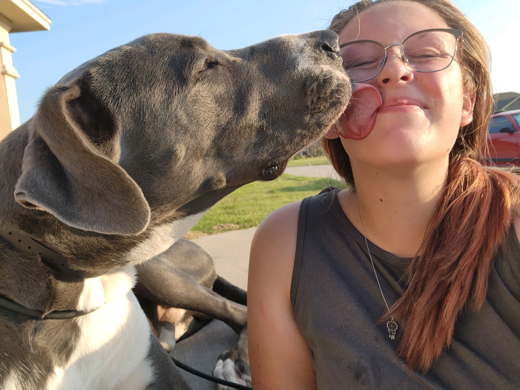 Off Leash K9 Corpus Christi