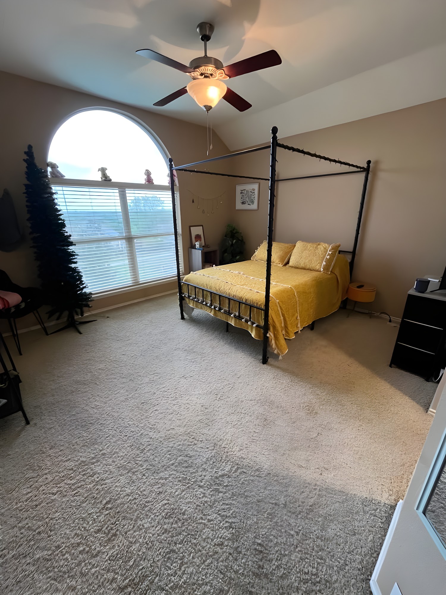 Rover House Cleaners