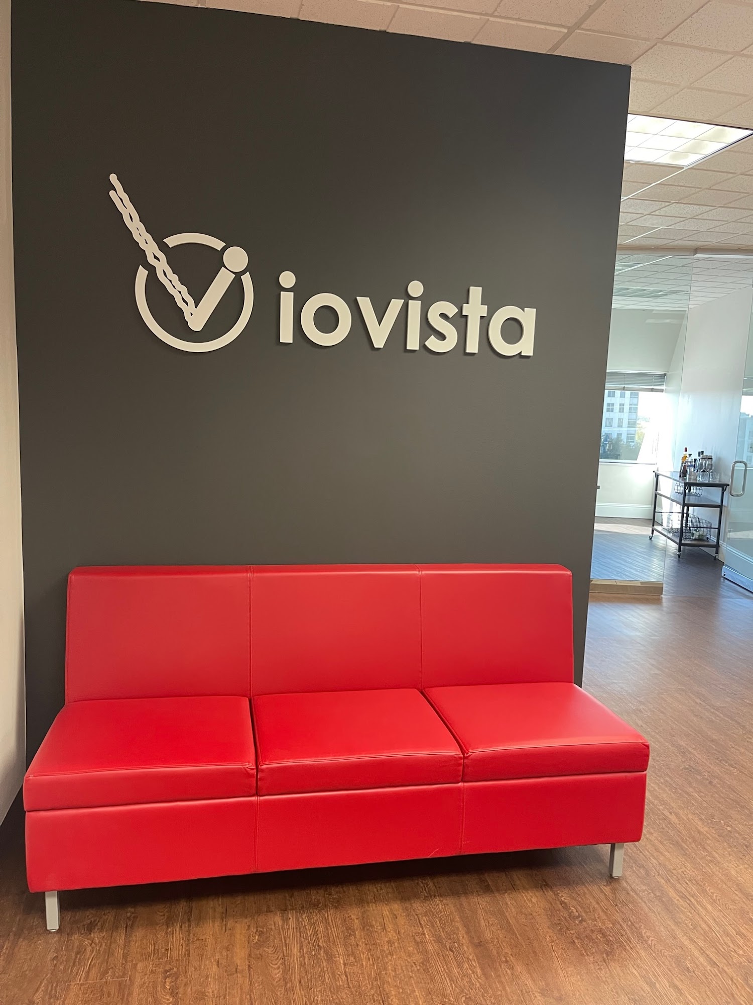 ioVista, Inc.