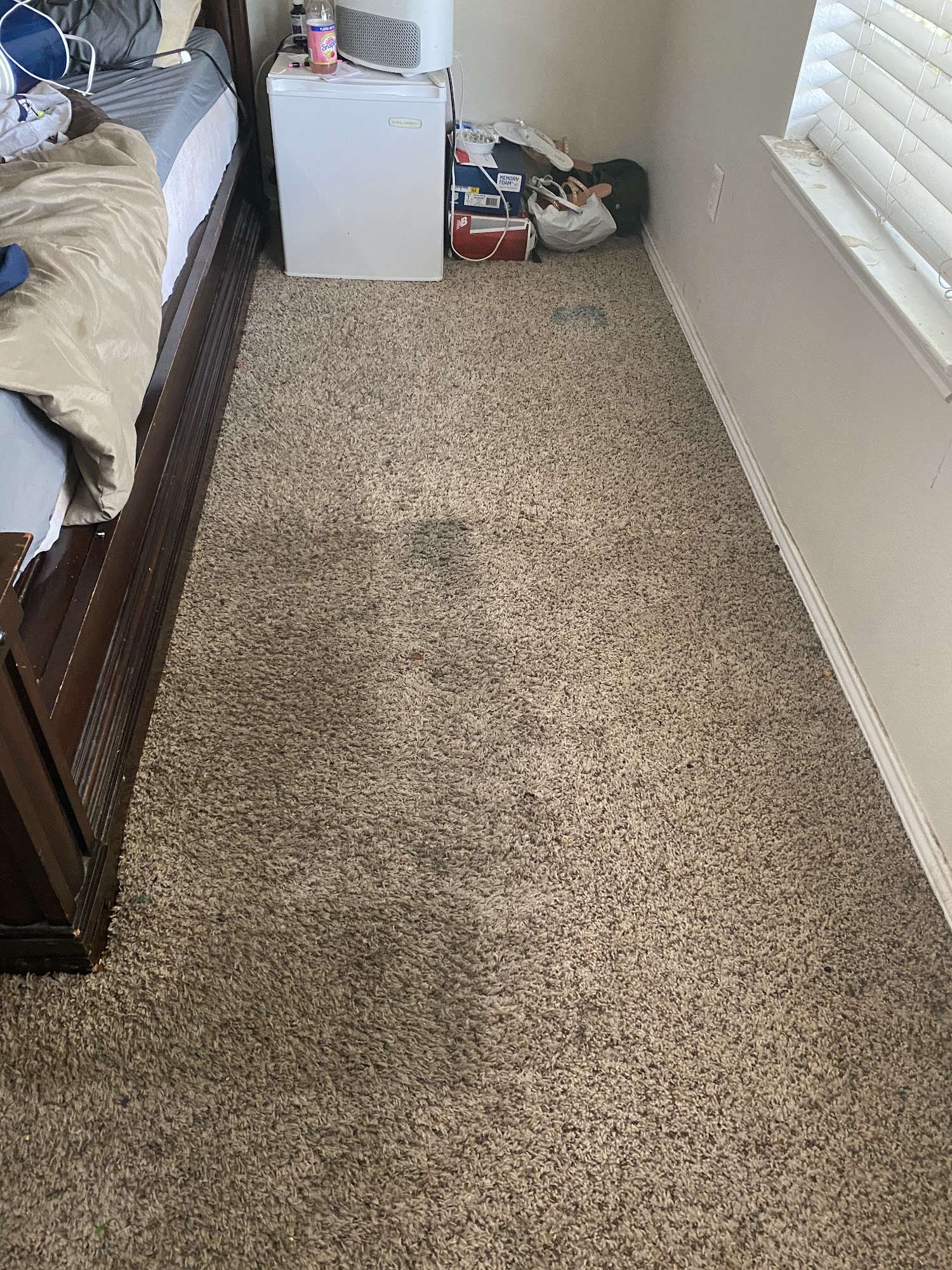 R1 Carpet & tile care cleaning