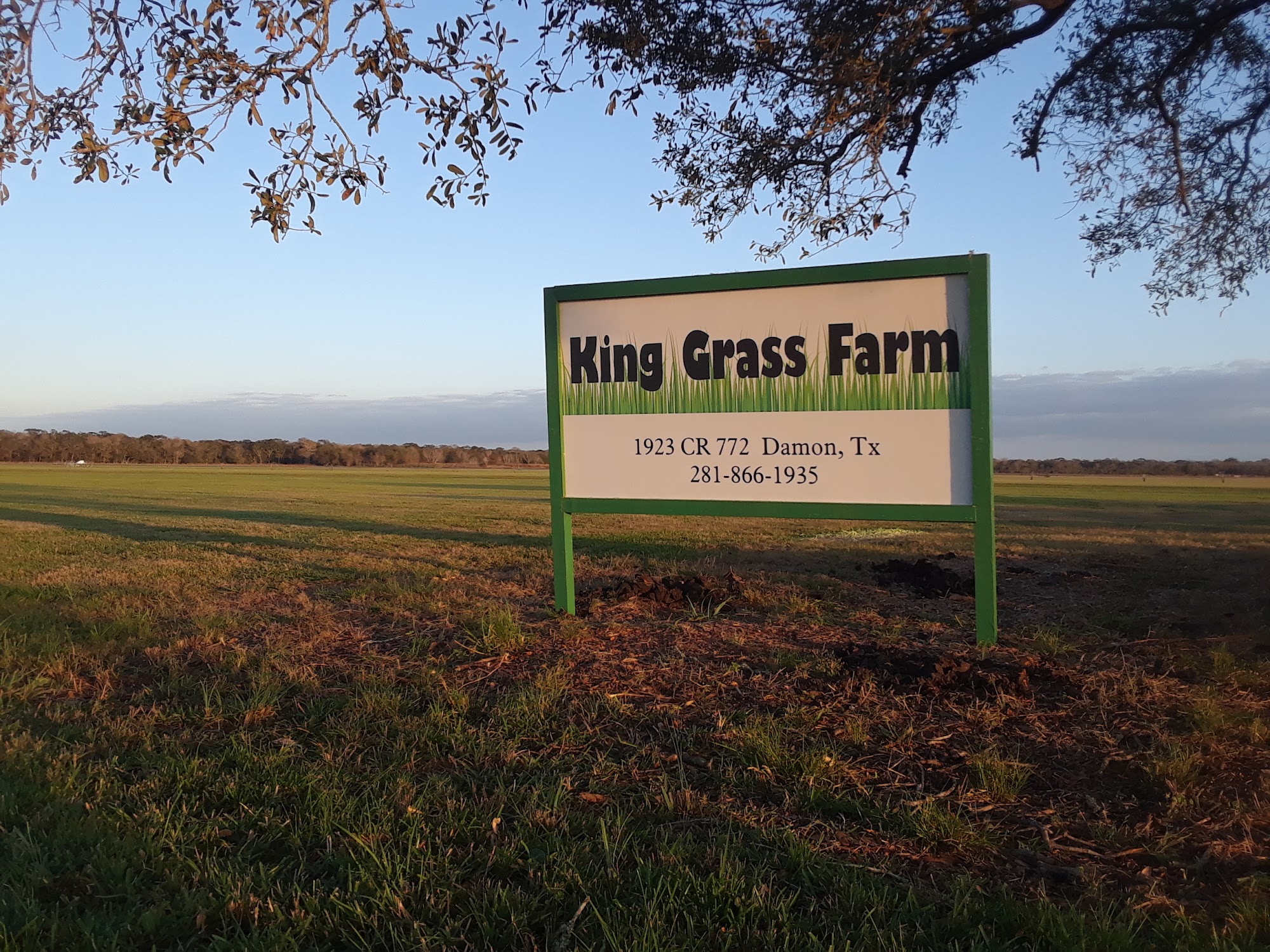 King Grass Farm 1923 County Rd 772, Damon Texas 77430