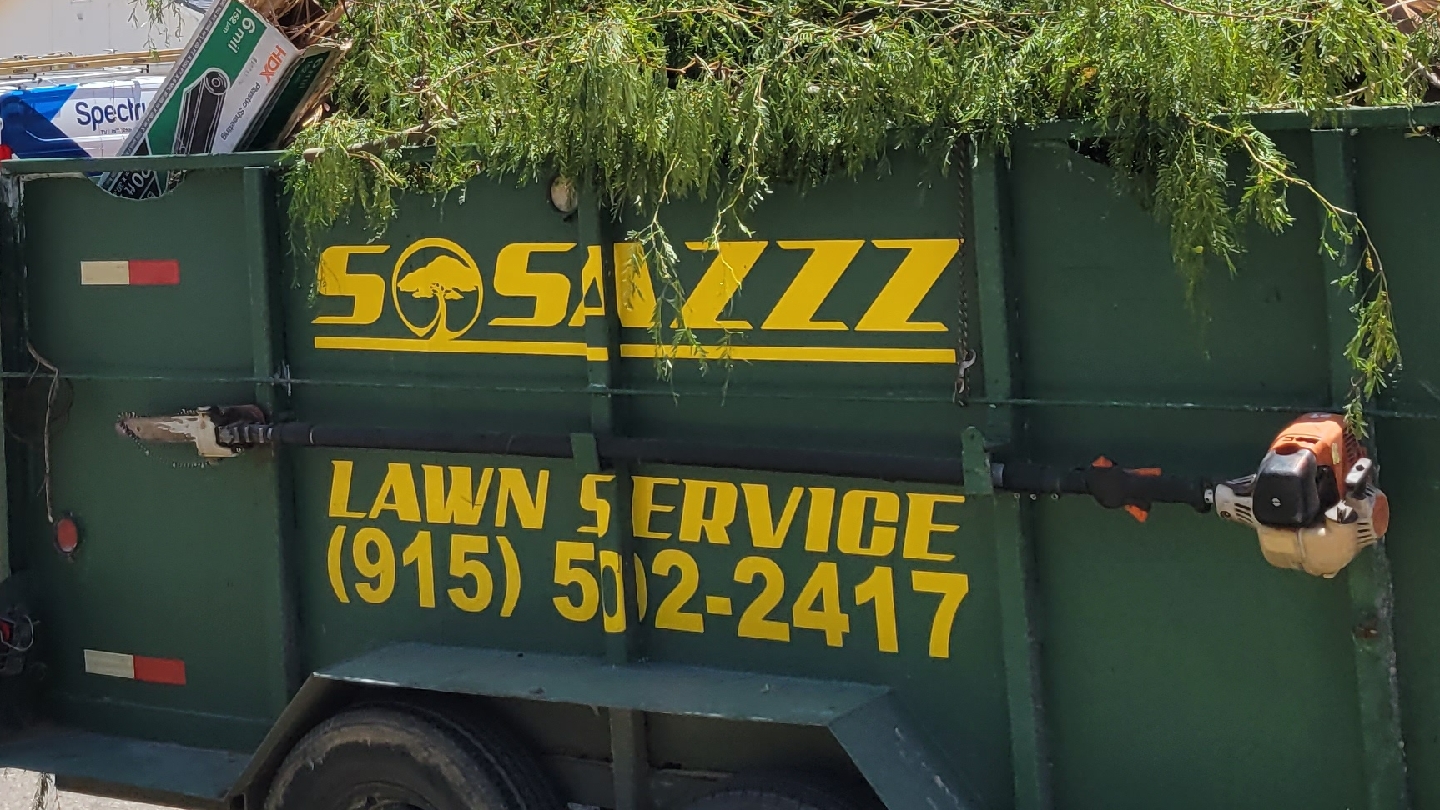 Sosazzz lawn service