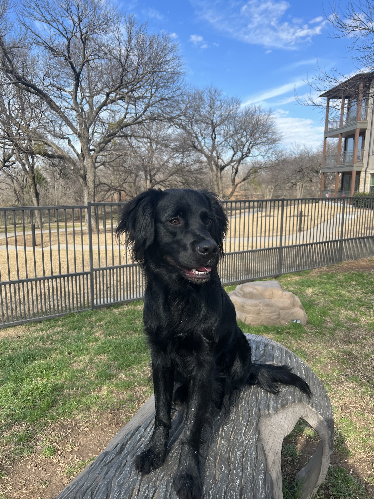 Cross Timbers Animal Medical Center