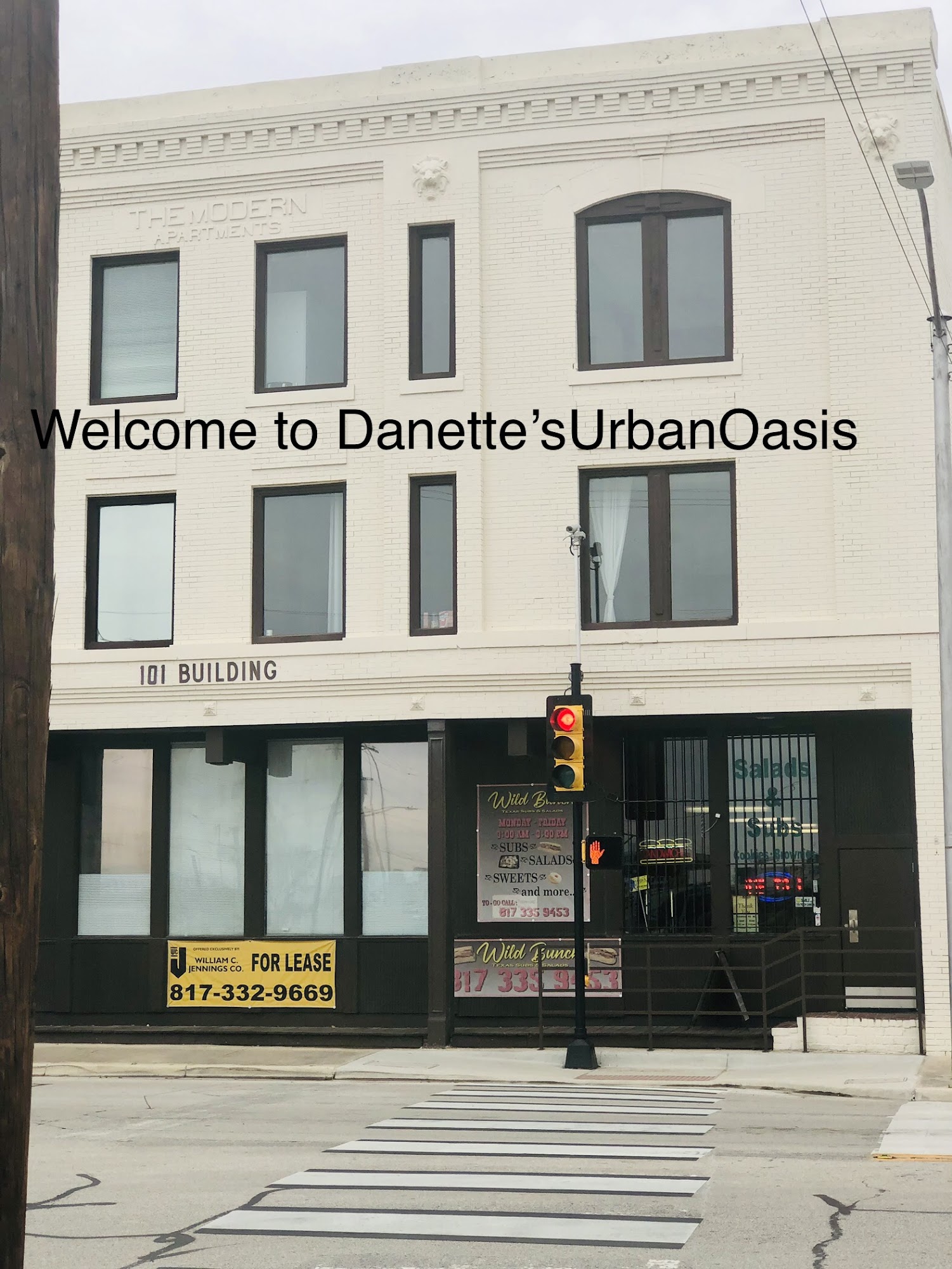 Danette's Urban Oasis
