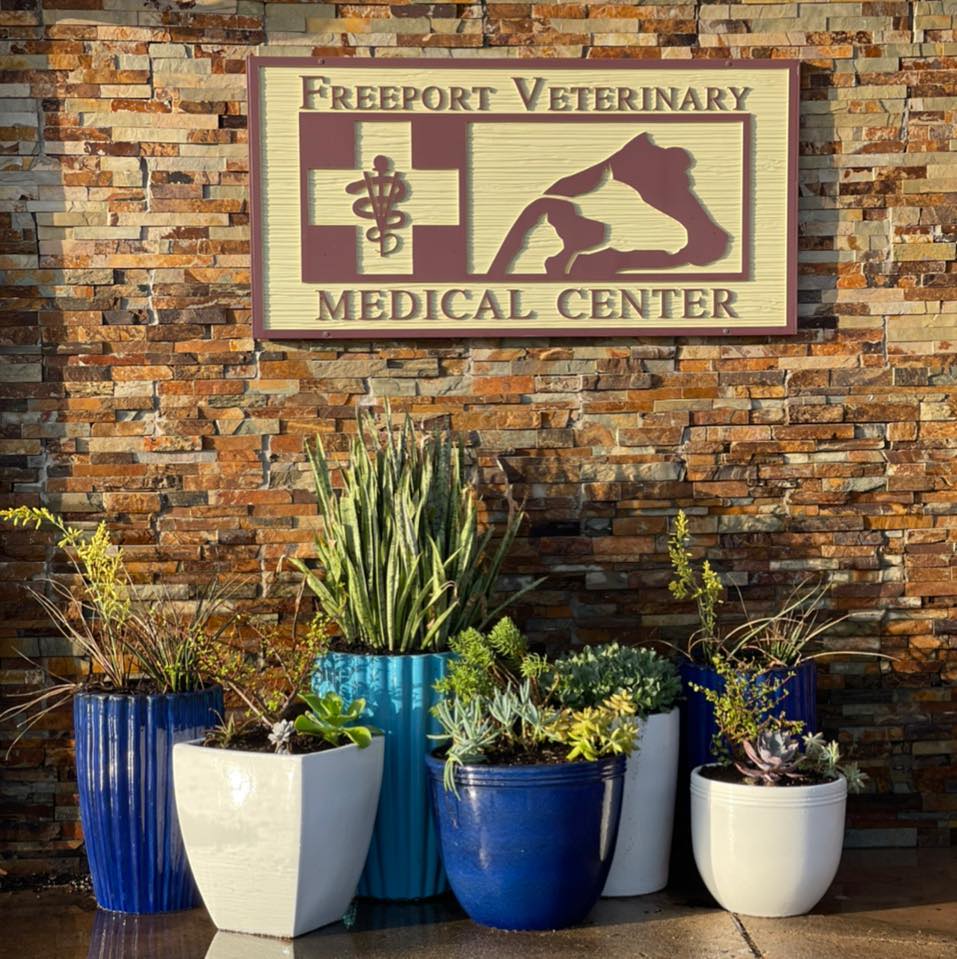 Freeport Veterinary Medical Center 1316 N Brazosport Blvd, Freeport Texas 77541