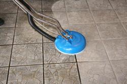 Spotless Carpet Cleaning and Restoration