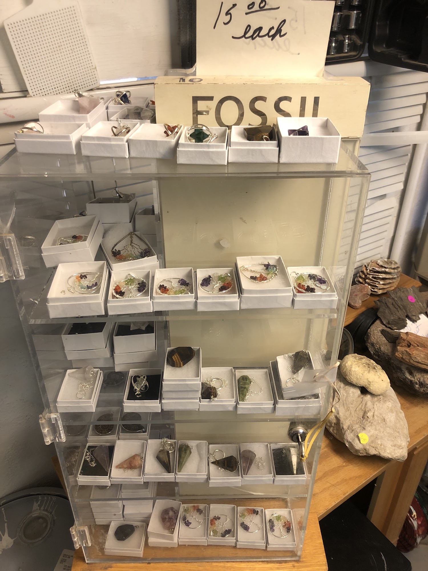 Stone Hut Fossil Shop