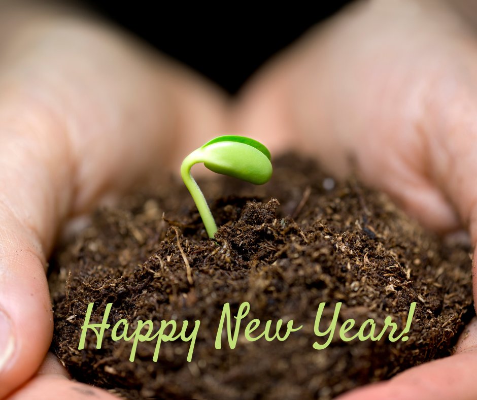Photo credit: 