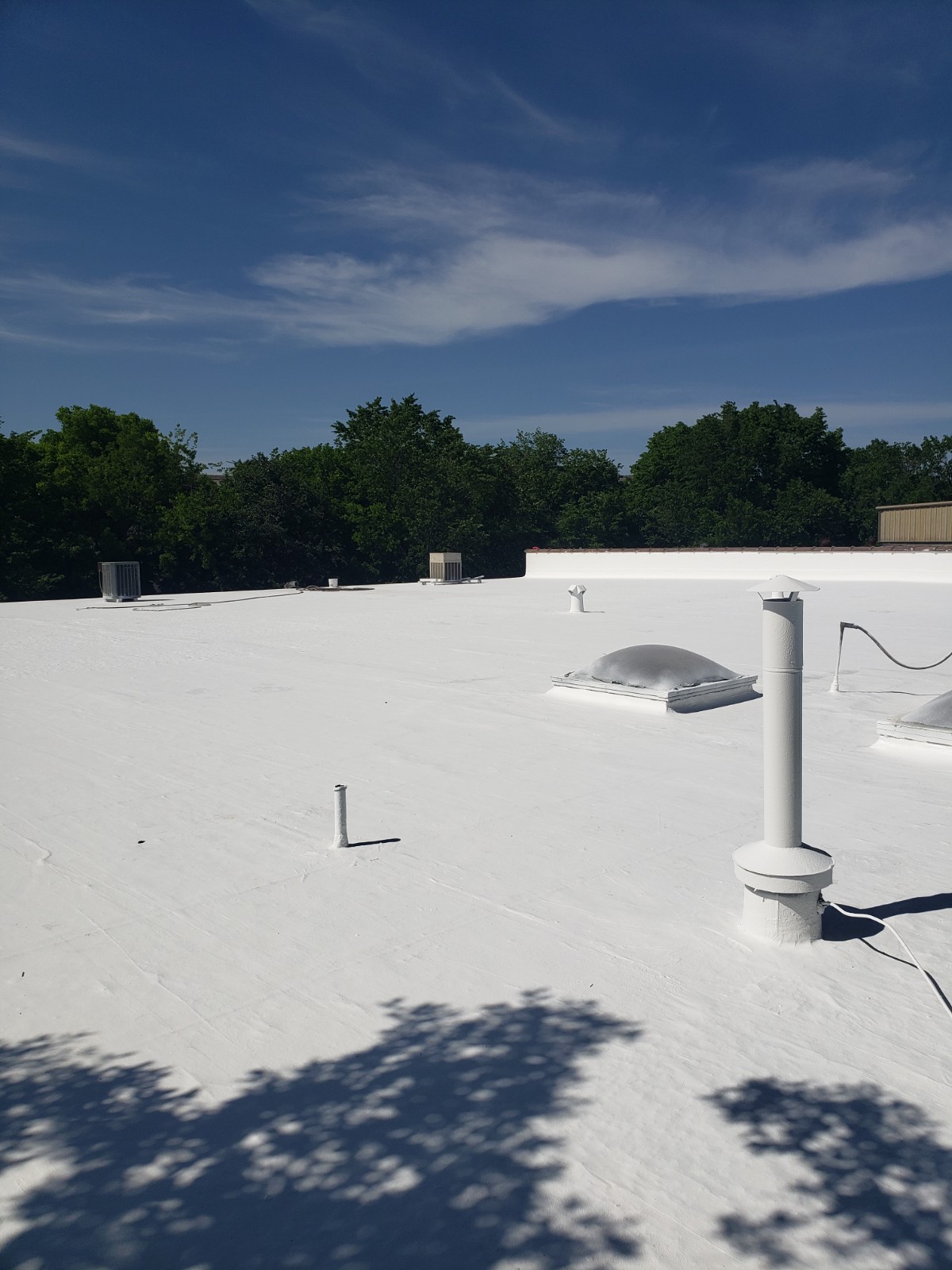 Monolithic Roofing Solutions