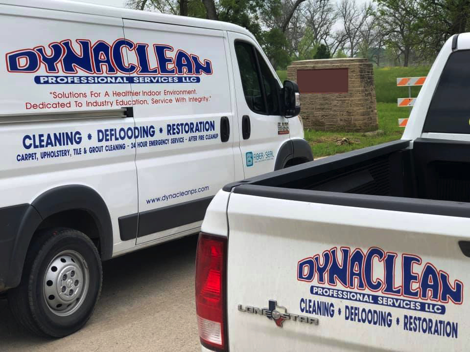 DynaClean Professional Services