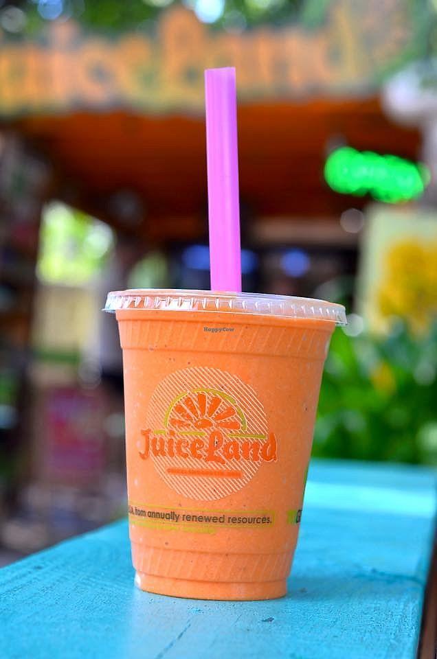 Photo credit: happycow