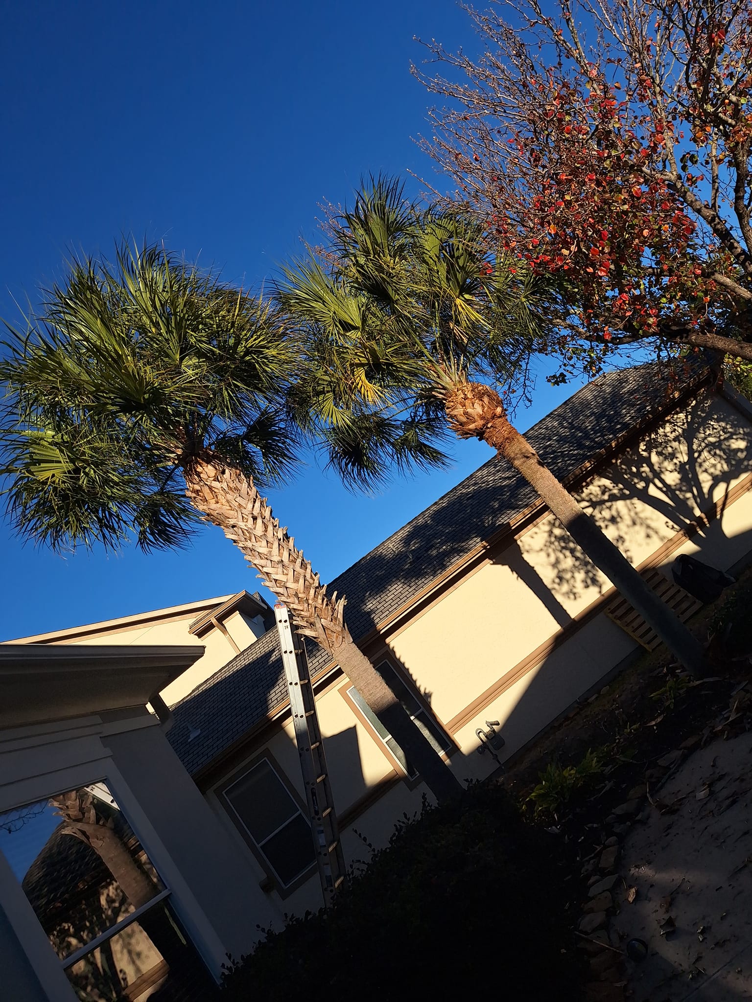 GARCIA'S TREE SERVICE AND LANDSCAPING