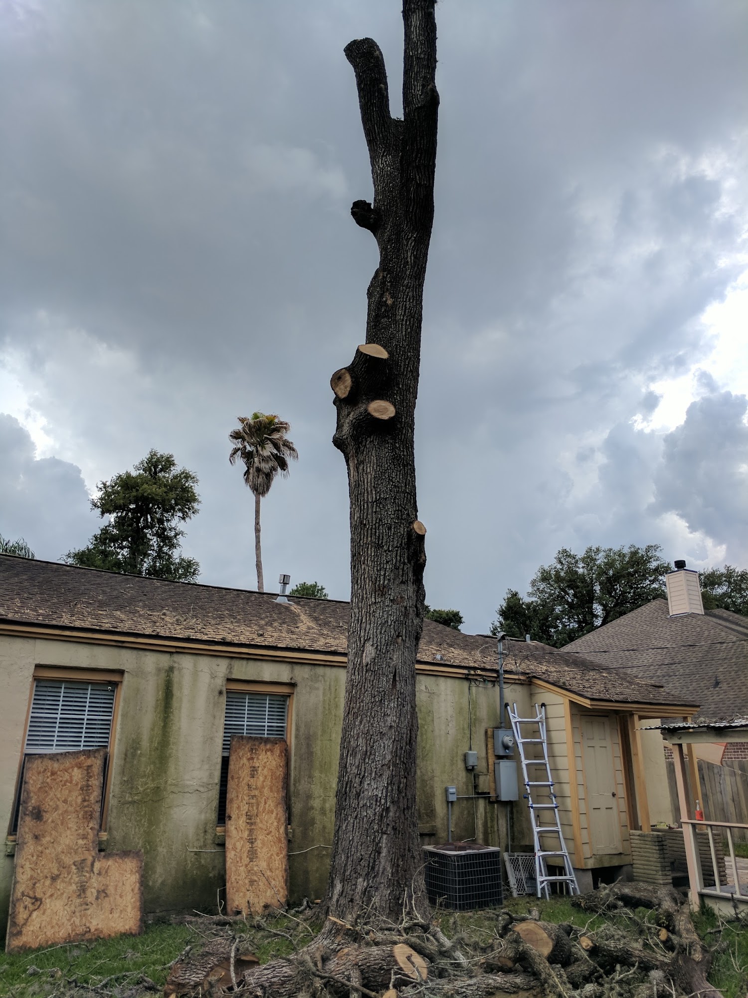 Espinoza Tree Service