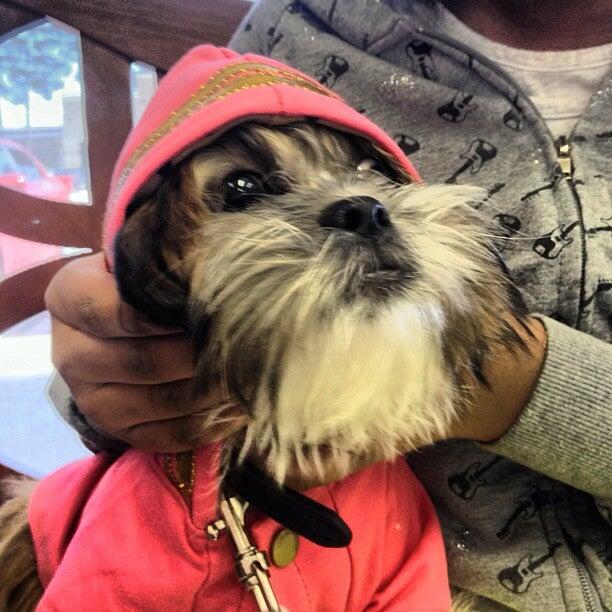 Photo credit: nextdoor