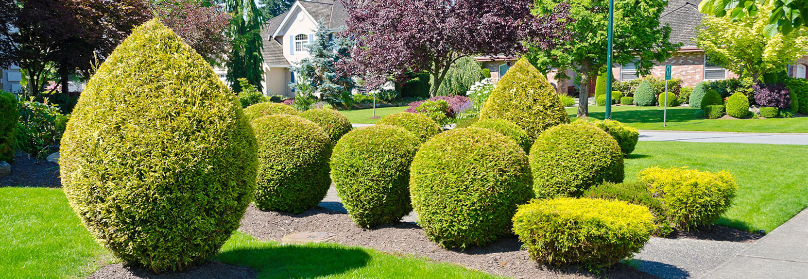 Alfa & Omega Houston Lawn Care & Tree Services