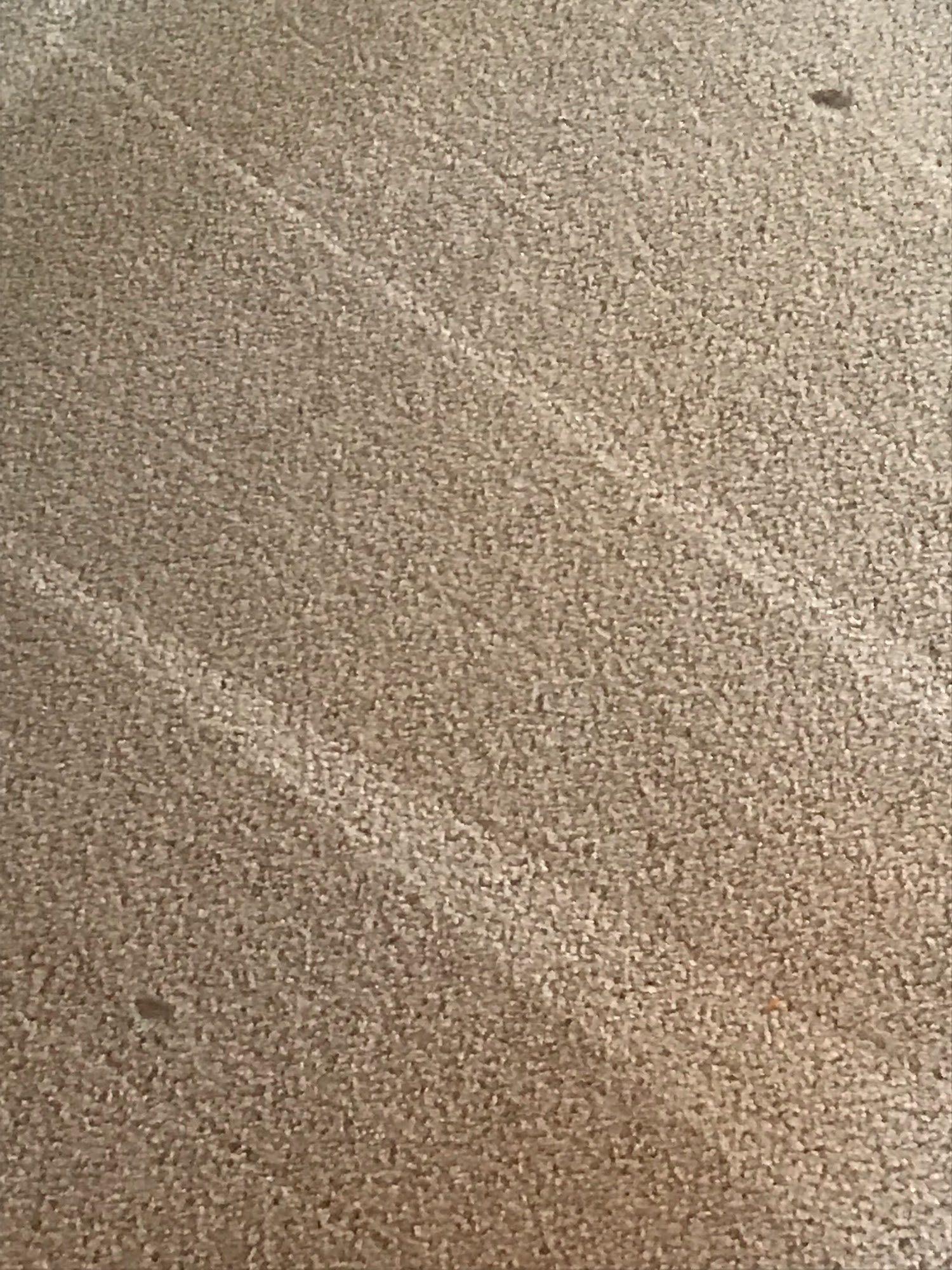 Dynamic Carpet Cleaning & Water Extraction