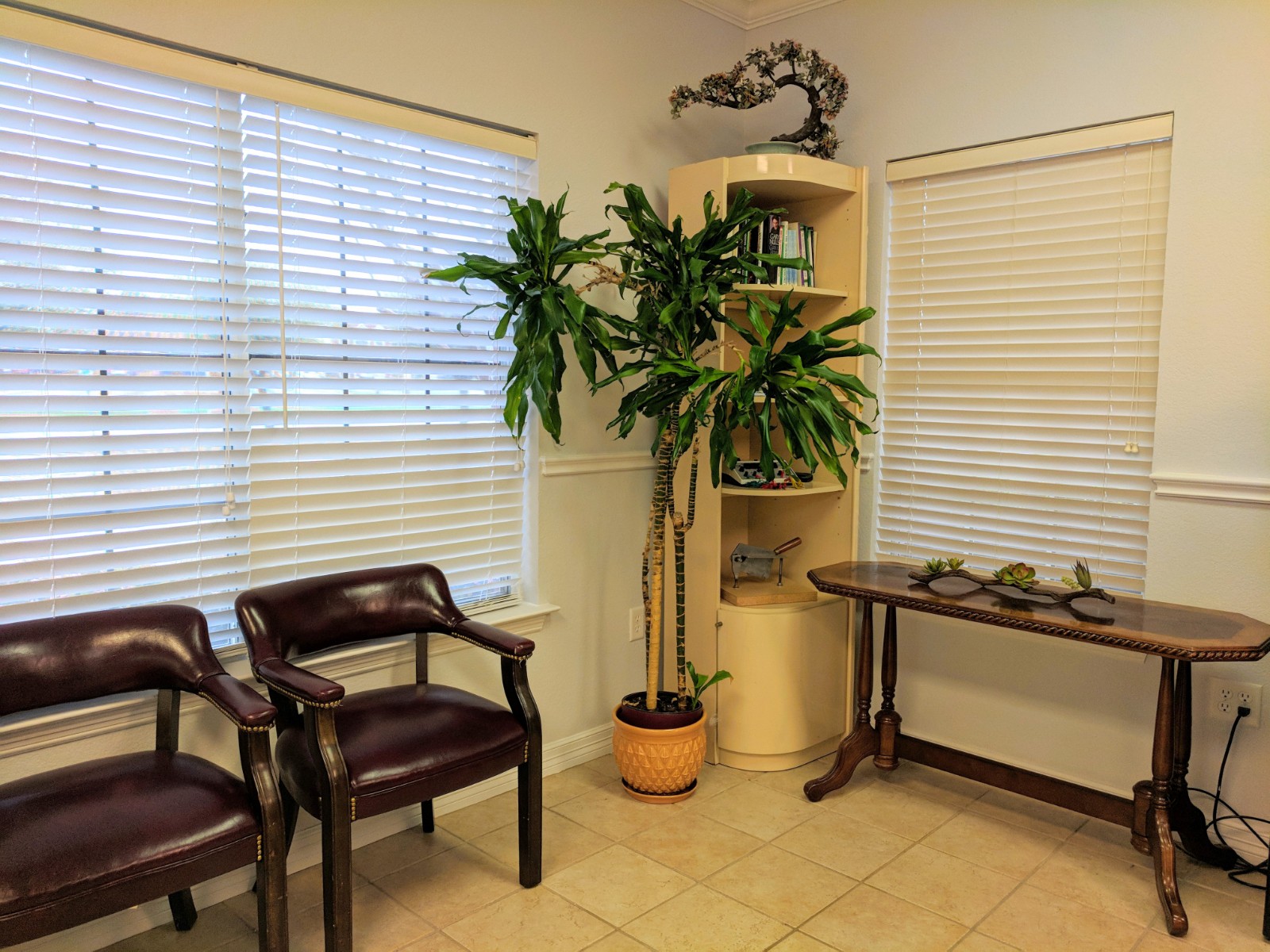 Acupuncture and Physical Therapy Center