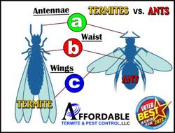 Affordable Termite & Pest Control, LLC
