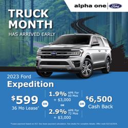 Alpha One Ford Service