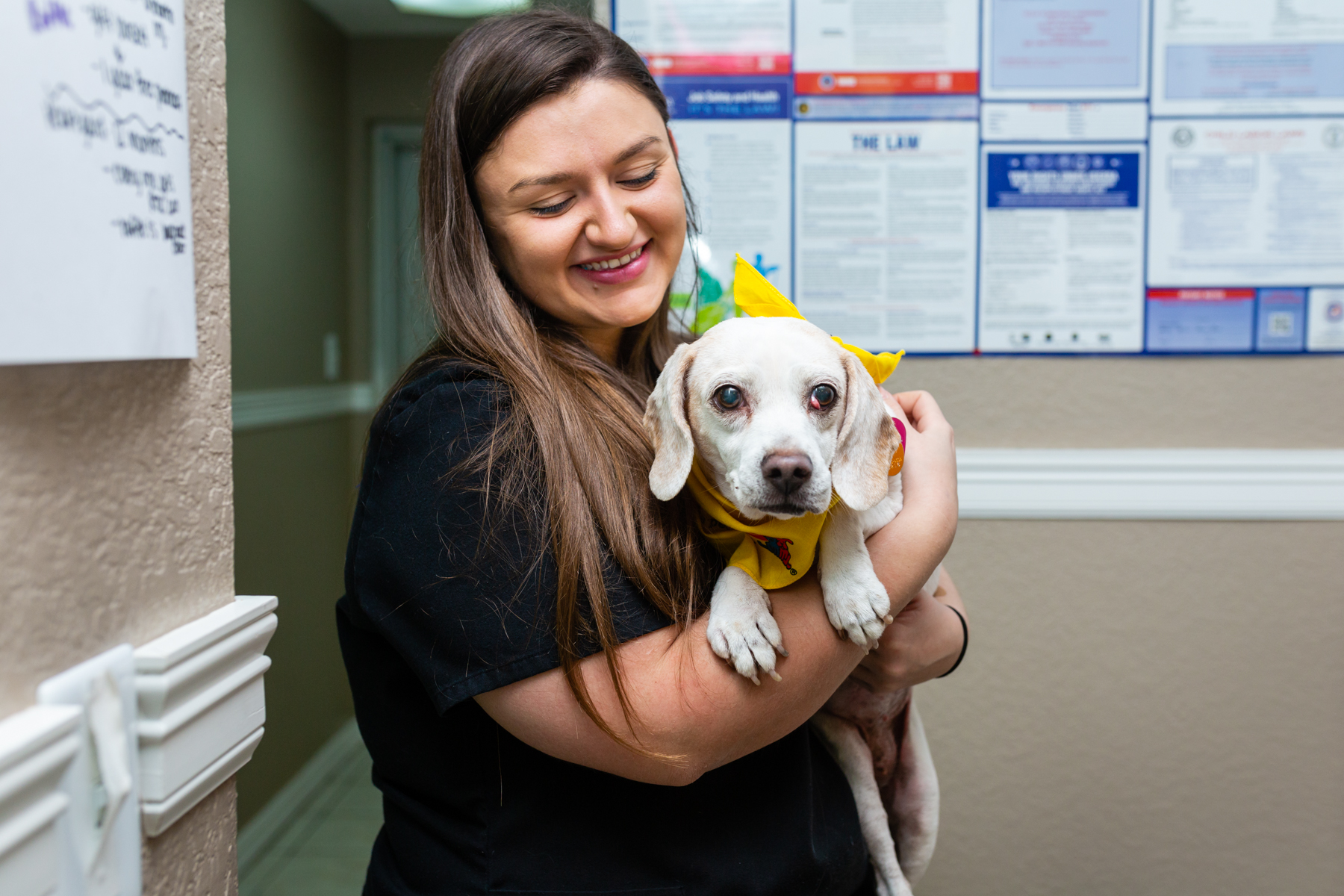 Brazos Woods Veterinary Clinic