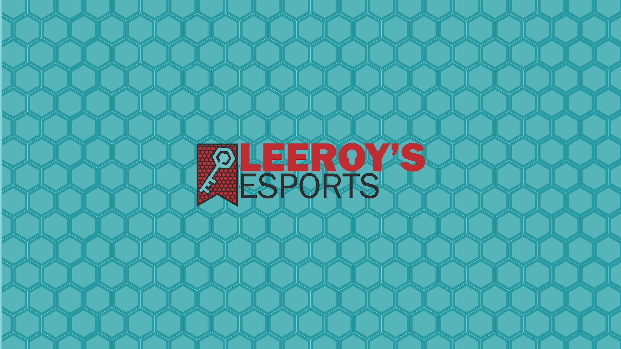 Leeroys Esports
