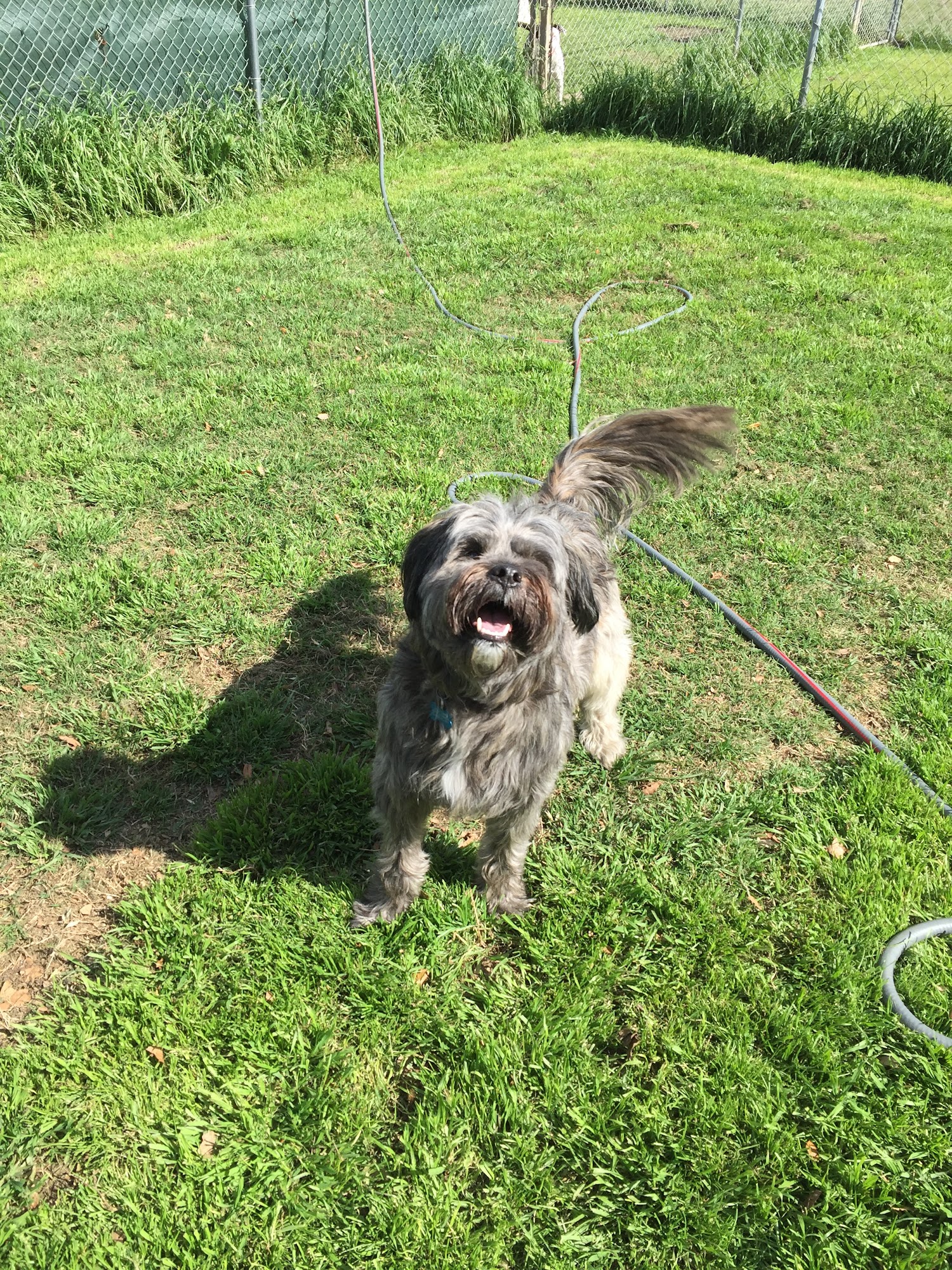 Brazos Valley Boarding Kennels