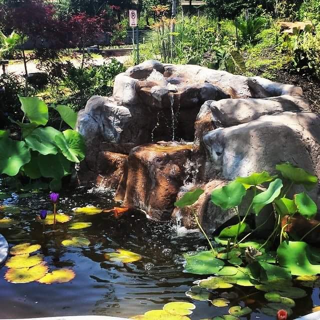 Lowe's Water Gardens