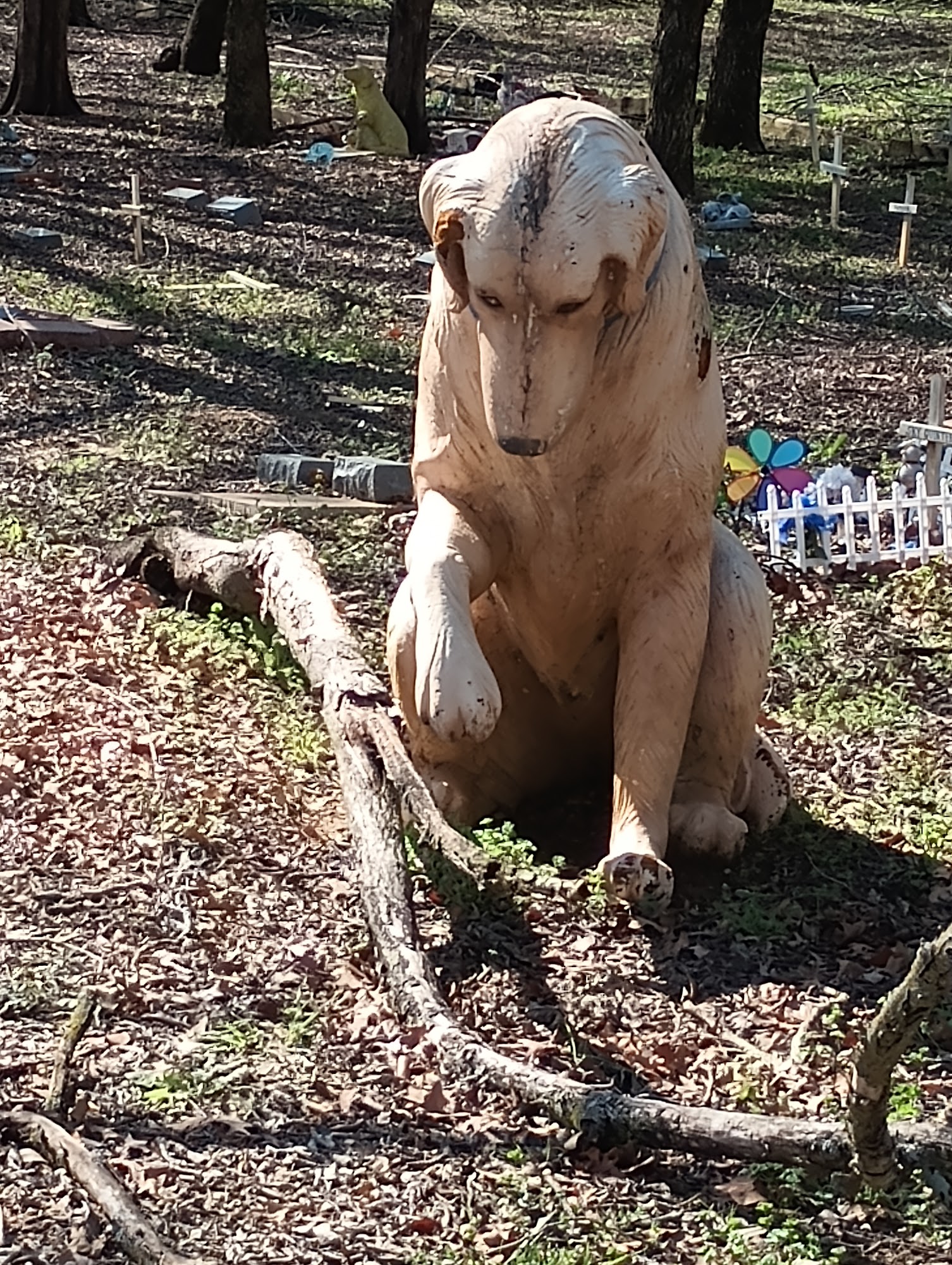 Bluebonnet Pet Cemetery Mansfield