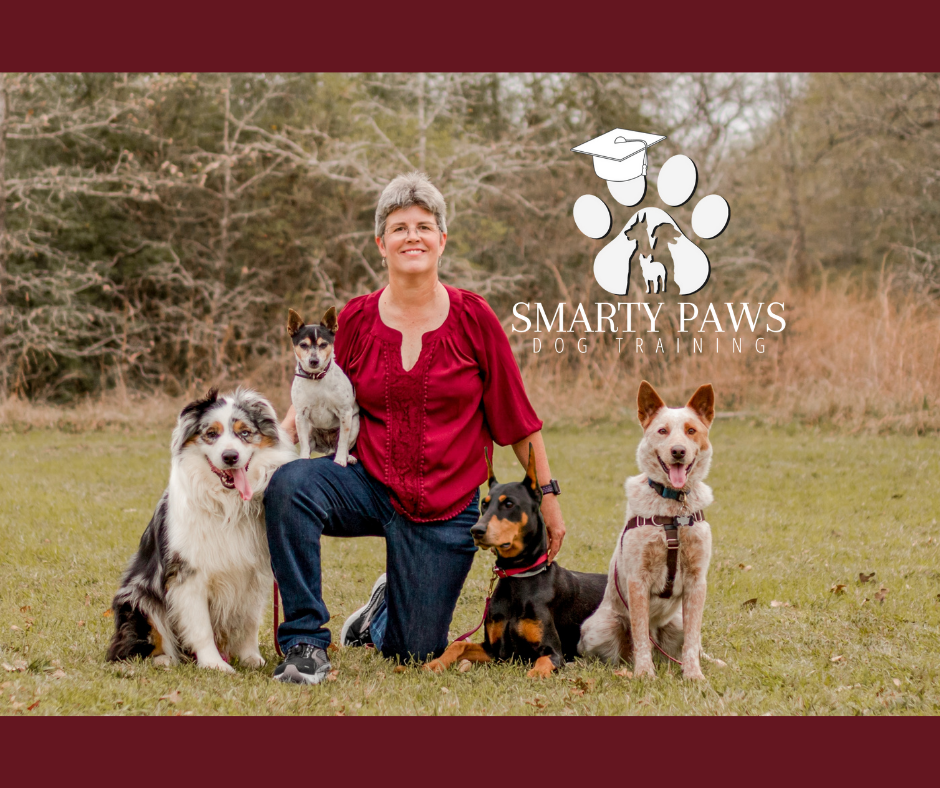 Smarty Paws Dog Training W Airport Blvd &, S Kirkwood Rd, Meadows Place Texas 77477