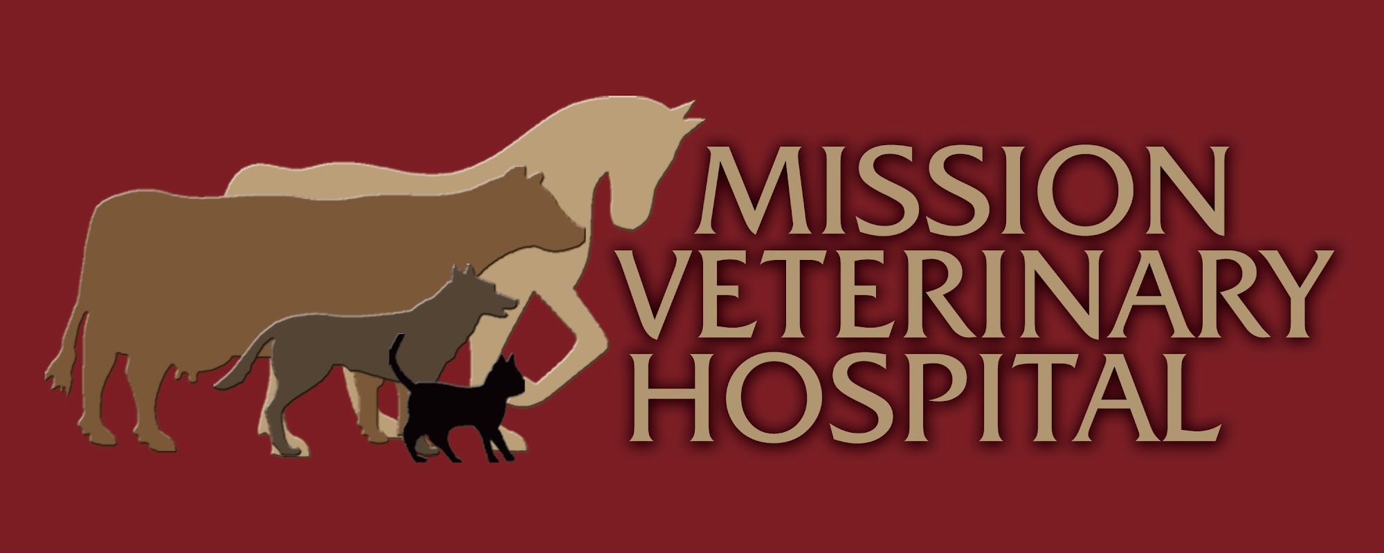 Mission Veterinary Hospital: C. Michele Fuentes, DVM
