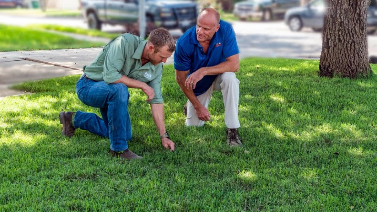 Emerald Lawns - Northeast San Antonio