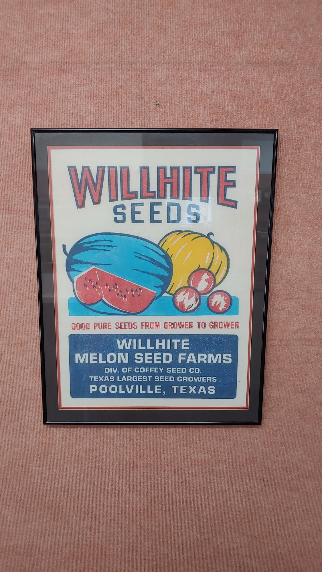 Willhite Seed Inc 199 Sparks, Poolville Texas 76487