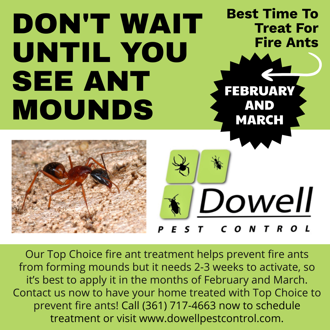 Dowell Pest Control 638 N Commerce St, Port Lavaca Texas 77979