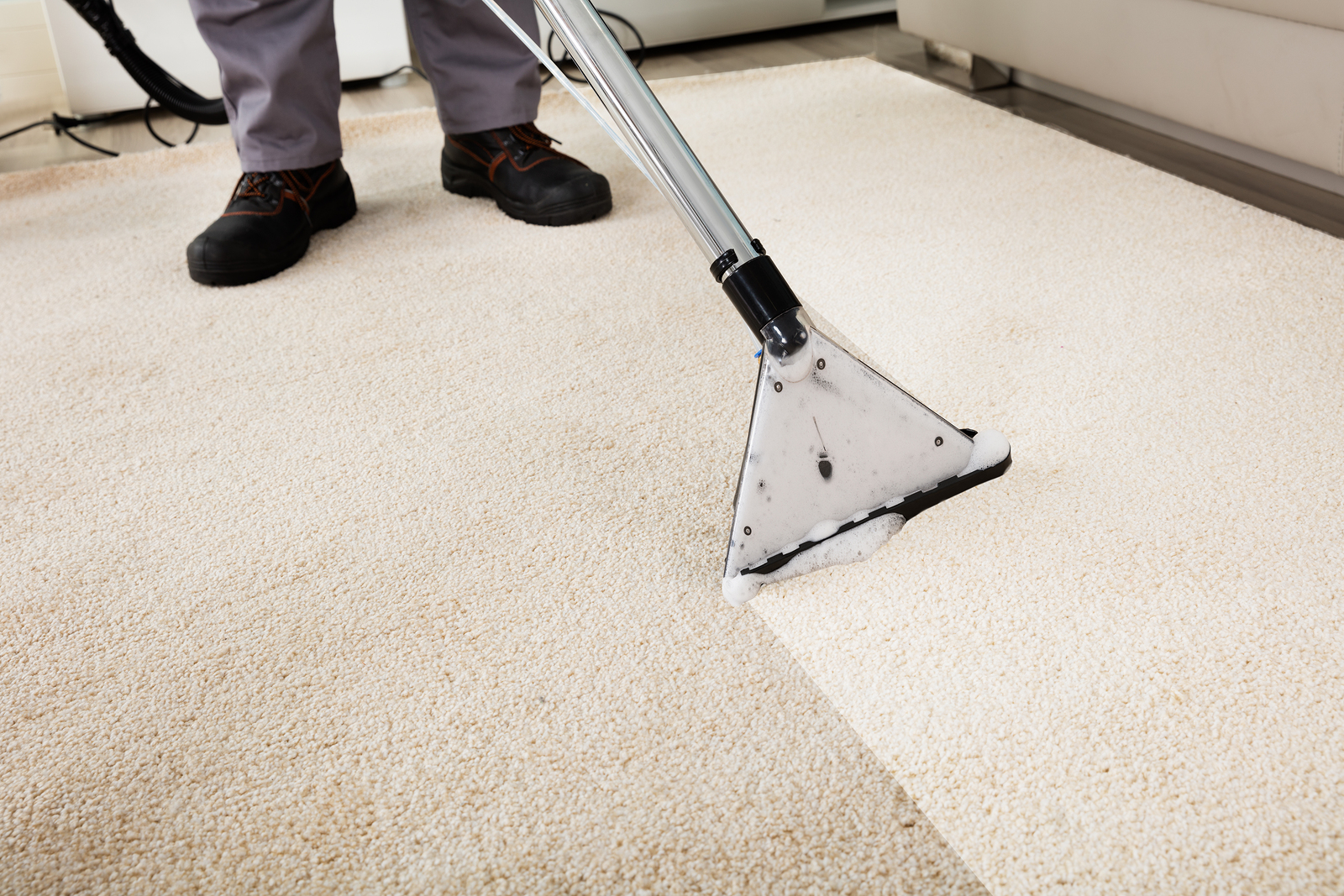 Richardson TX Carpet Cleaning