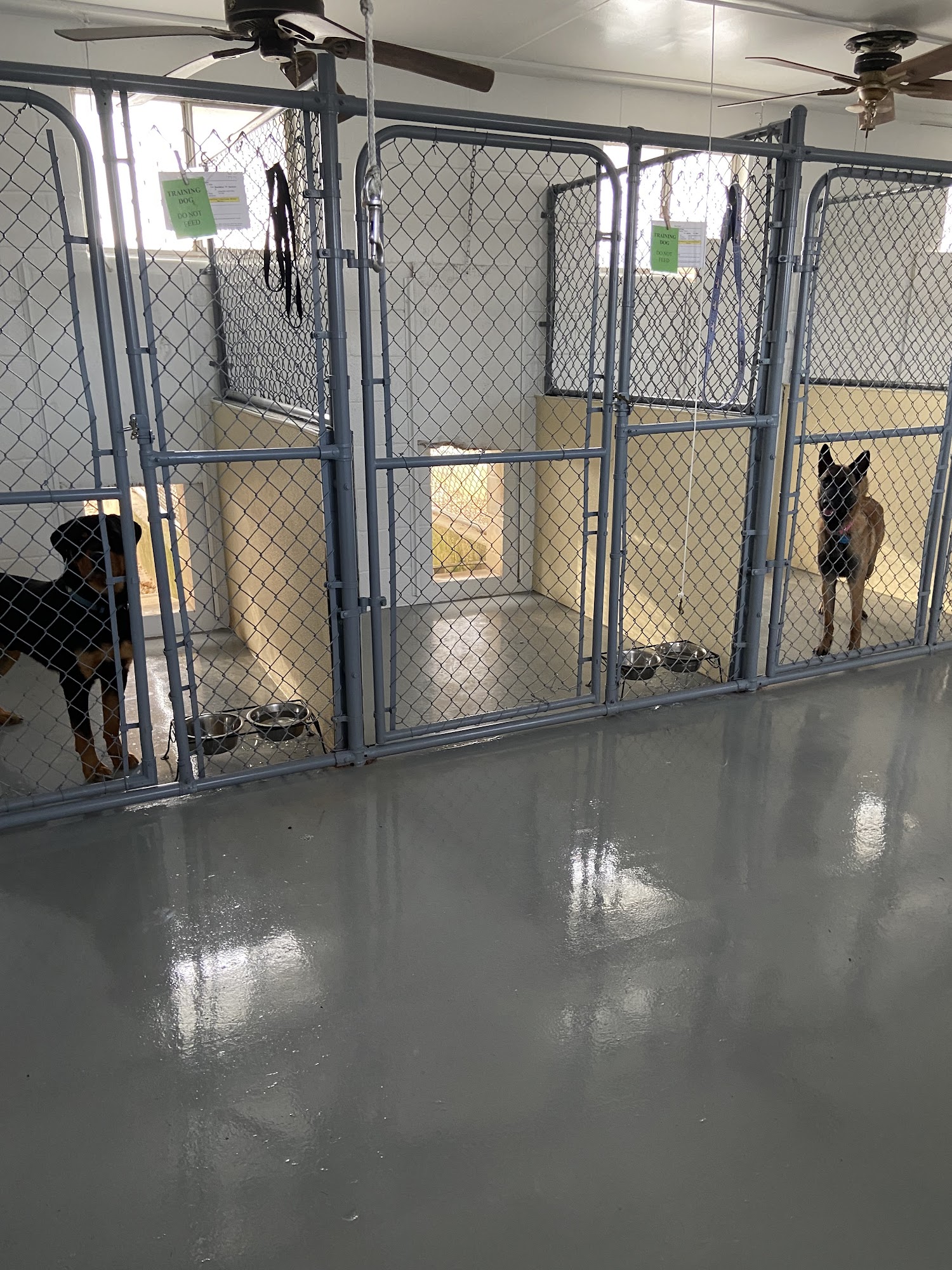 Quail Creek Kennel & Training Robinson