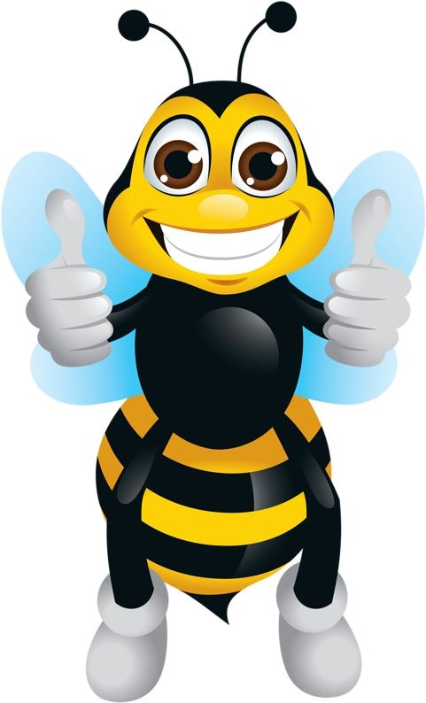 Waco Wild Honey Live Bee Removal LLC 496 Hawkins Ct, Robinson Texas 76706