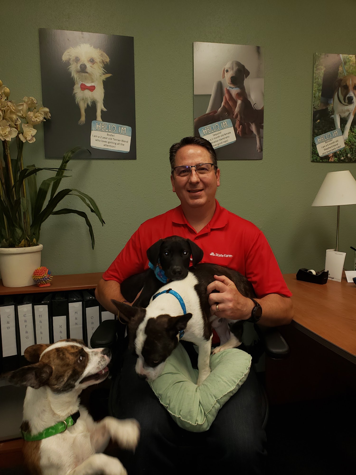 Chuck Laubach - State Farm Insurance Agent