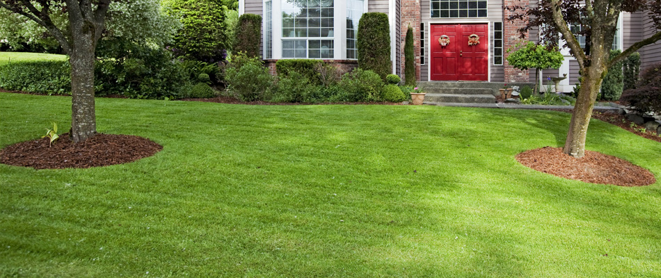 Square One Lawncare