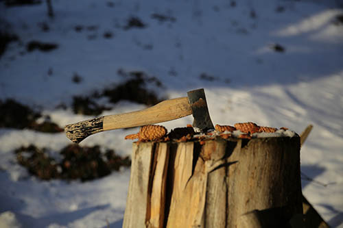 Southlake Tree Service & Stump Grinding