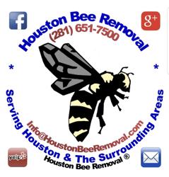 Houston Bee Removal