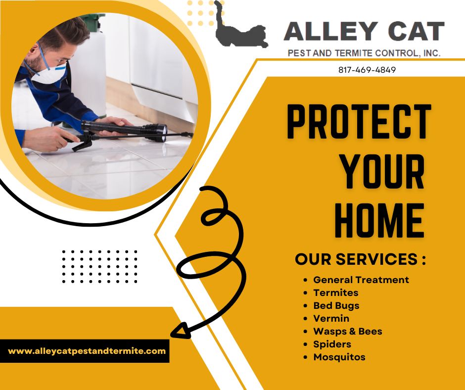 Alley Cat Pest & Termite Inc N Main St, Springtown Texas 76082